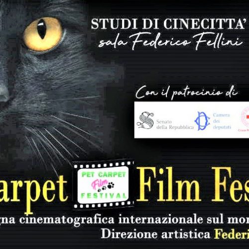 imm_2020_05_conad_pet_carpet_film_fest